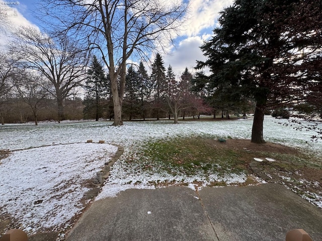 view of yard covered in snow