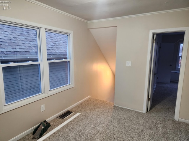 spare room with carpet flooring and crown molding