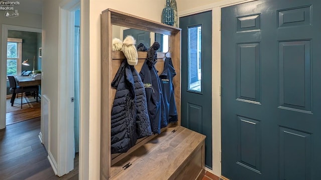 entryway with wood-type flooring