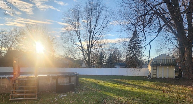 view of yard featuring a shed