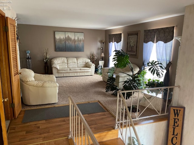 living room featuring hardwood / wood-style floors