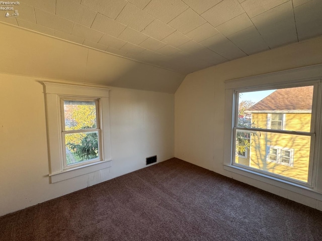 bonus room featuring carpet floors, a wealth of natural light, and lofted ceiling