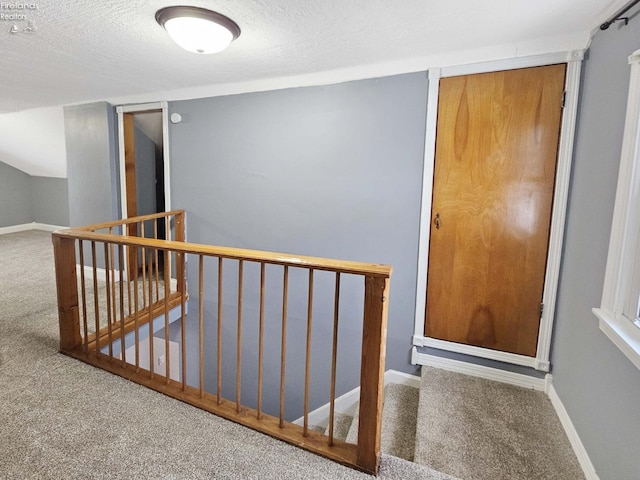 staircase with carpet floors