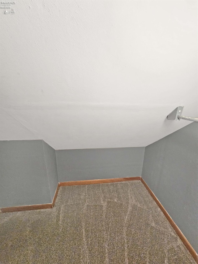 spacious closet featuring carpet