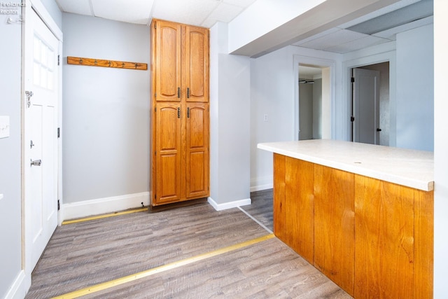 kitchen featuring a drop ceiling and wood-type flooring