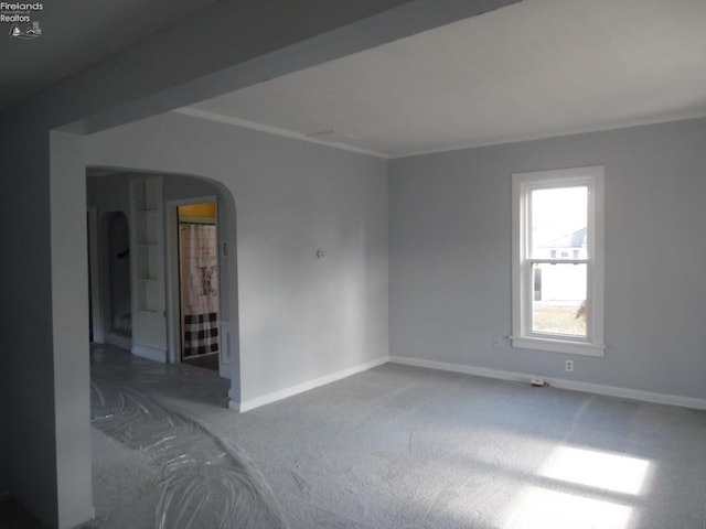 empty room featuring carpet and ornamental molding