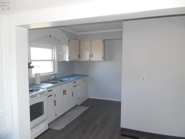 kitchen with dark hardwood / wood-style floors, electric stove, and sink