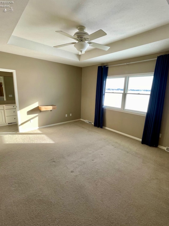 spare room featuring light colored carpet and a raised ceiling