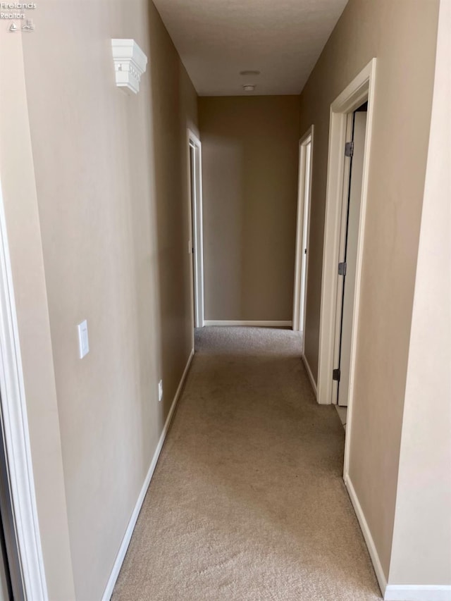 corridor with light colored carpet