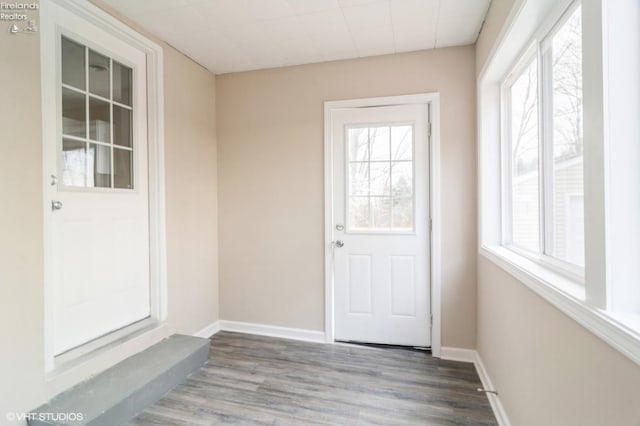 entryway featuring wood-type flooring