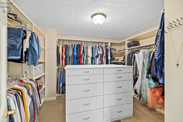 spacious closet with light colored carpet