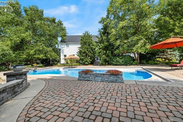 view of pool featuring a patio