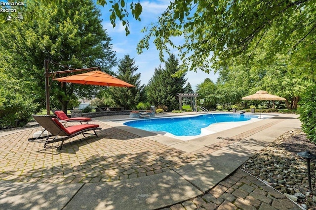 view of swimming pool featuring a patio area and a jacuzzi