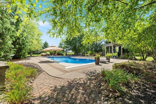 view of pool featuring a pergola and a patio