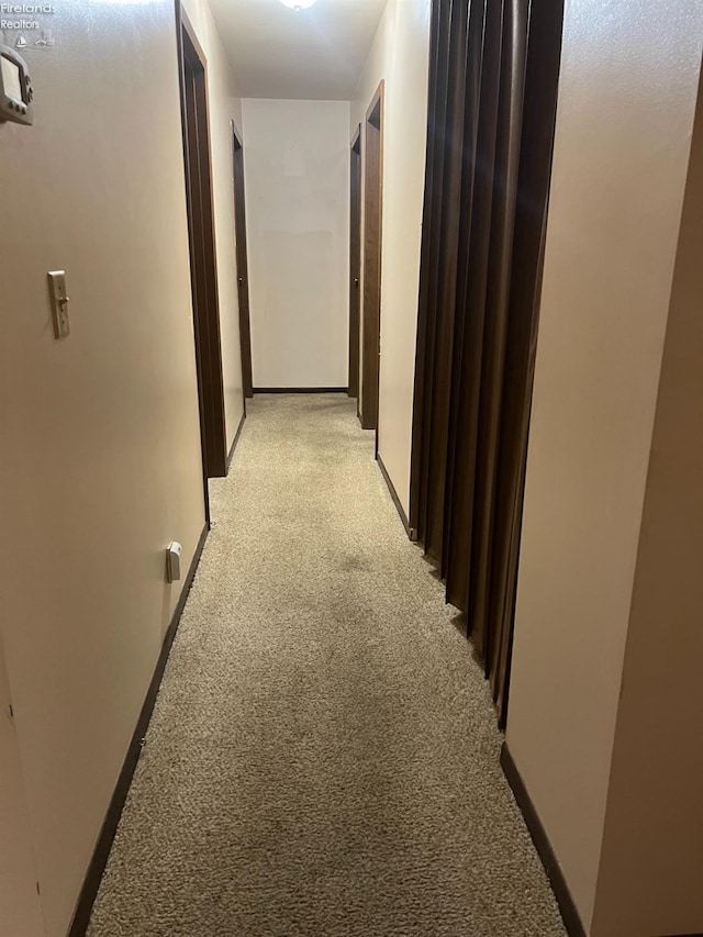 corridor with light colored carpet