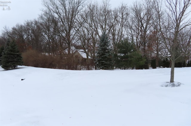 view of yard layered in snow