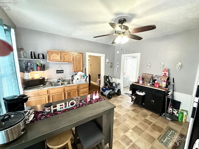 kitchen with ceiling fan, sink, a healthy amount of sunlight, and a textured ceiling