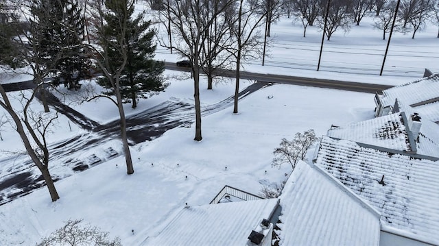 view of yard layered in snow