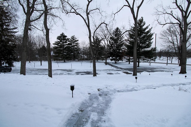 view of yard layered in snow