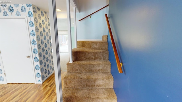 stairway with hardwood / wood-style flooring