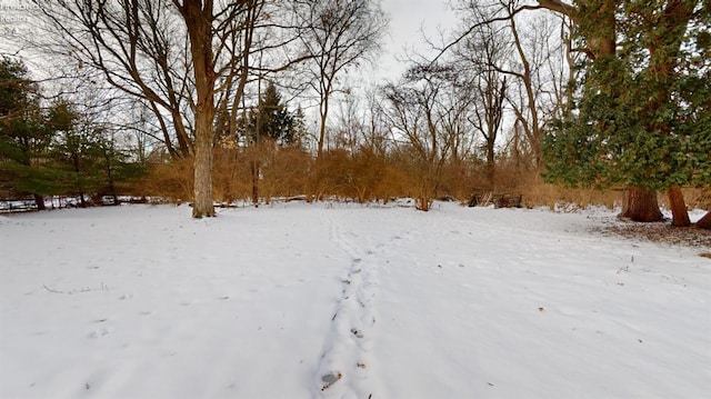 view of snowy yard