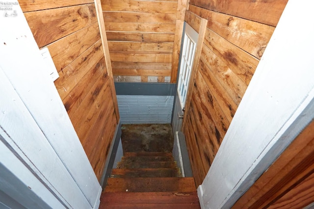 staircase with wood walls