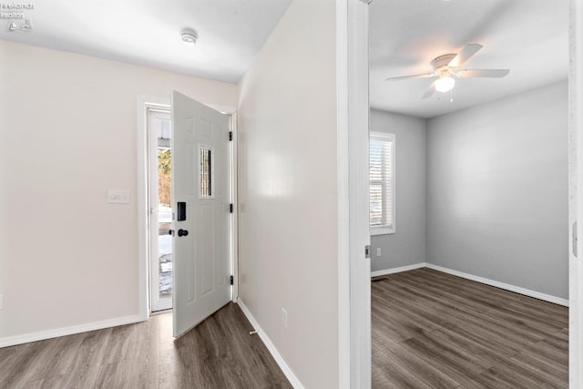 foyer featuring ceiling fan and dark wood-type flooring