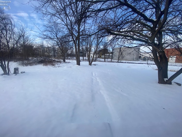 view of yard covered in snow