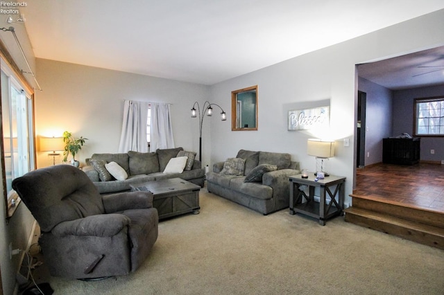 carpeted living room featuring a wealth of natural light