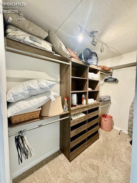 spacious closet with light carpet