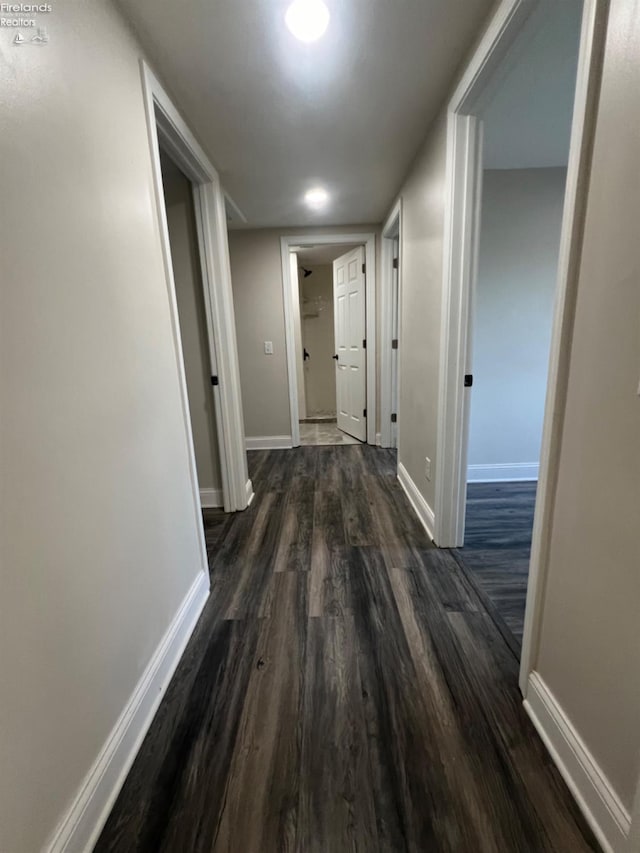 hallway with dark wood-type flooring