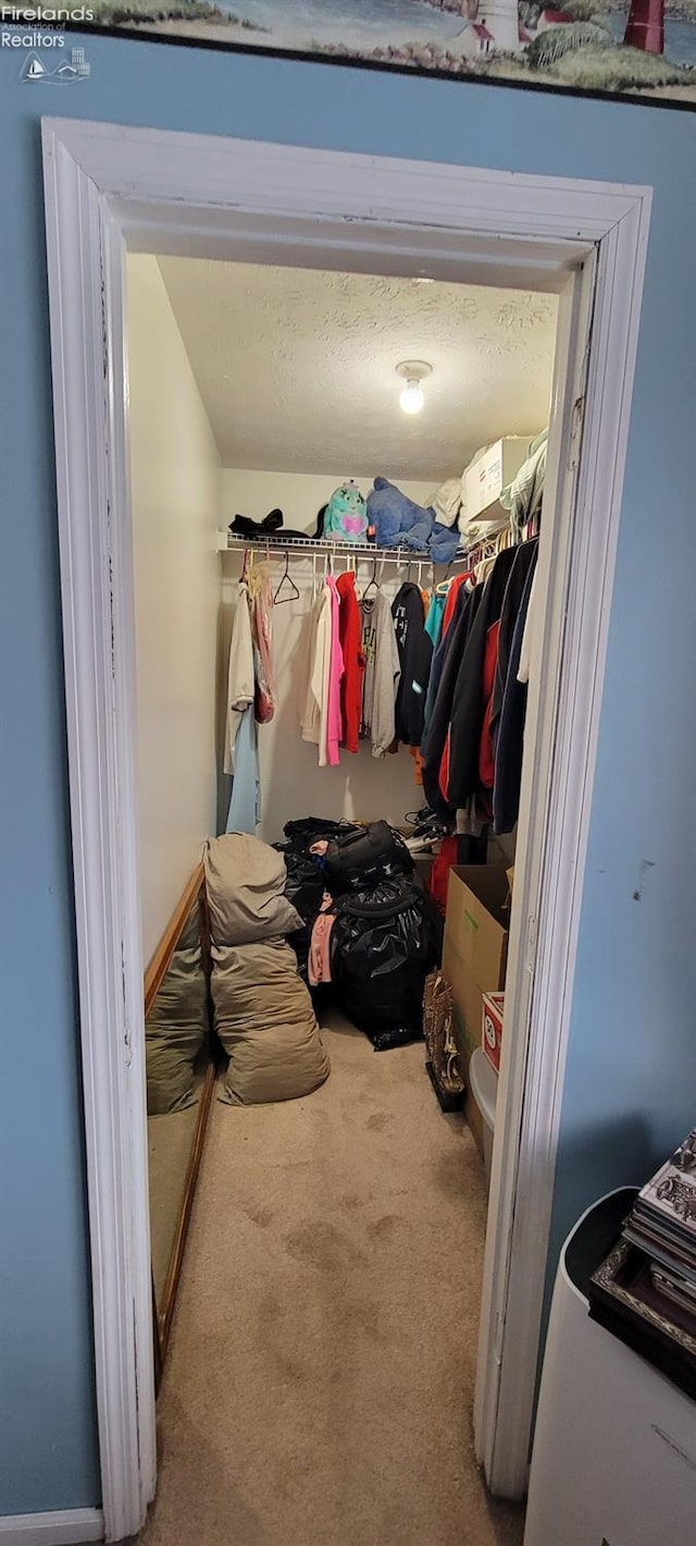 spacious closet featuring carpet flooring