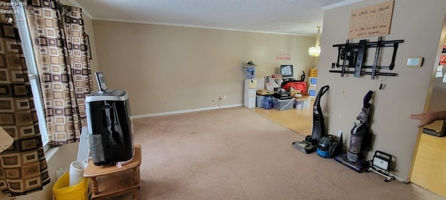 exercise room with a textured ceiling, crown molding, and carpet flooring