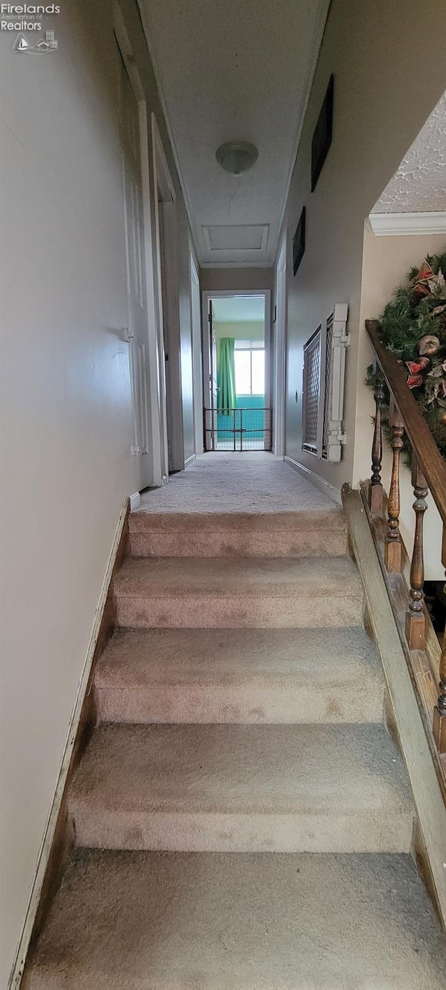 stairway featuring crown molding and carpet flooring