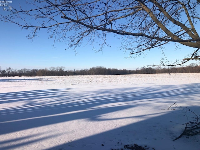 view of yard layered in snow