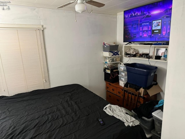 bedroom with ceiling fan