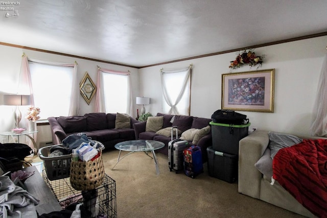 carpeted living room with ornamental molding