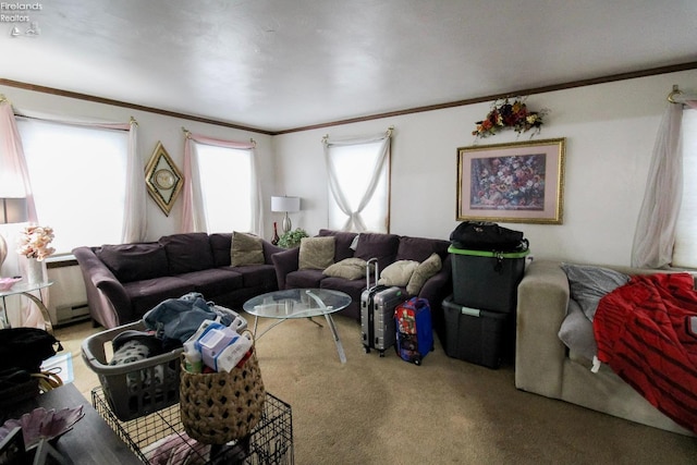 carpeted living room with crown molding