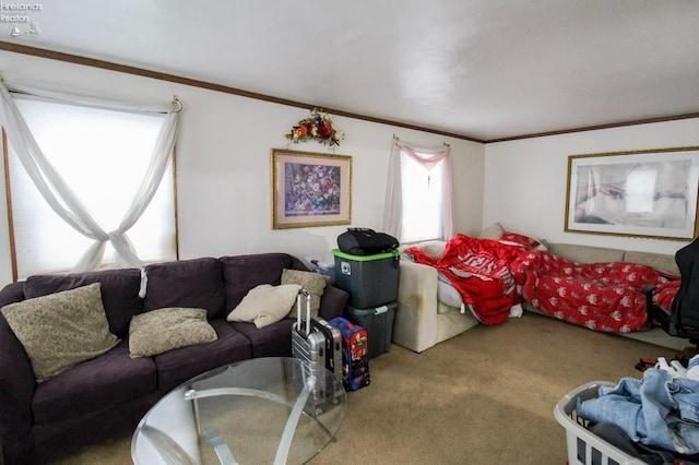 living room with carpet and crown molding