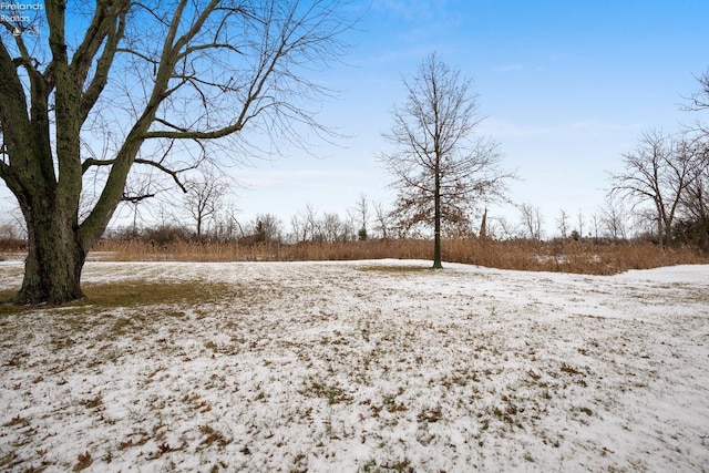 view of yard covered in snow