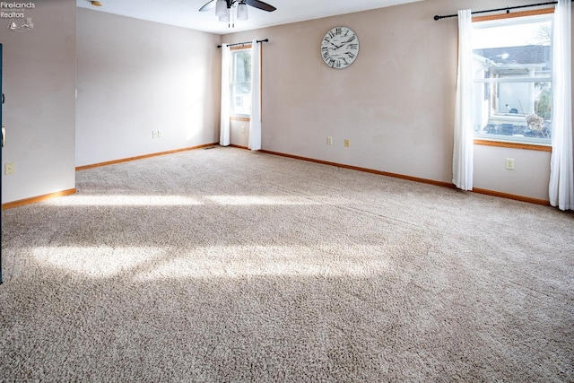 unfurnished room featuring a wealth of natural light, ceiling fan, and carpet