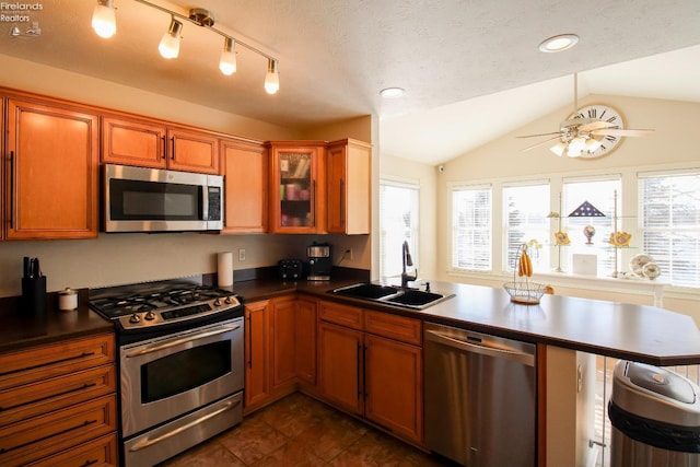 kitchen with plenty of natural light, sink, stainless steel appliances, and vaulted ceiling