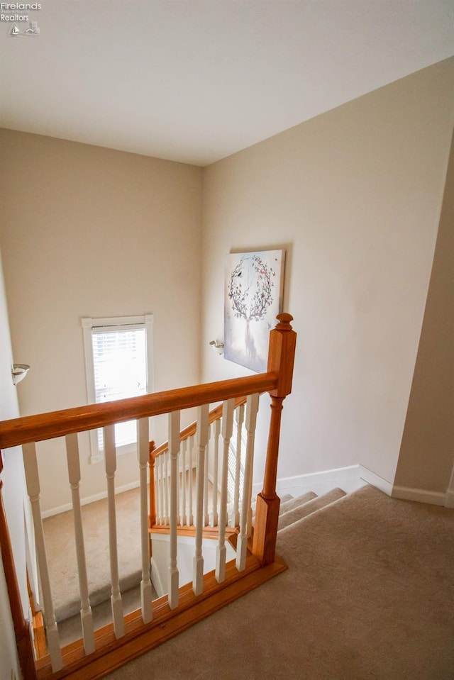 stairway with carpet flooring