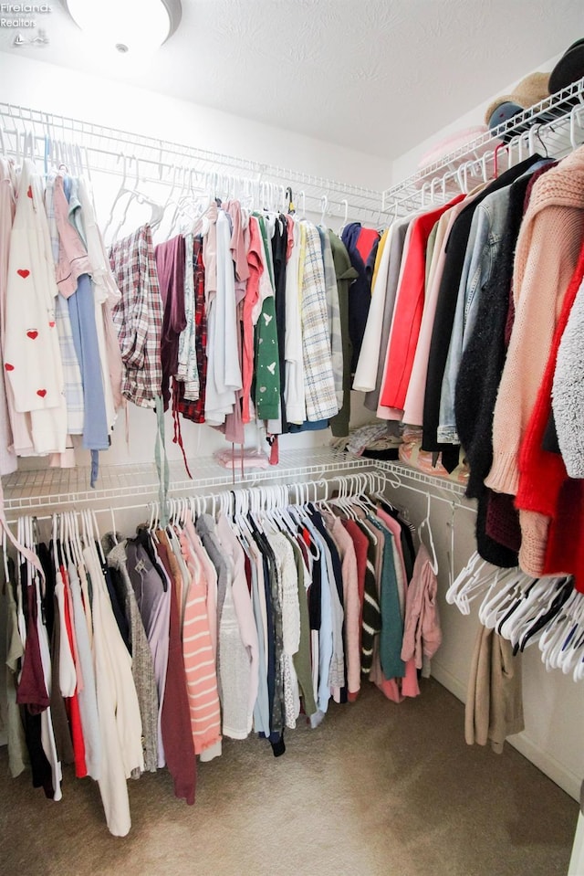 spacious closet featuring carpet flooring