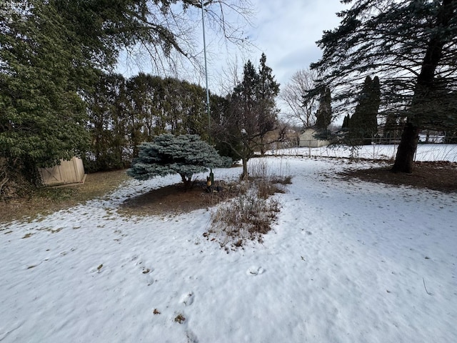 view of yard layered in snow