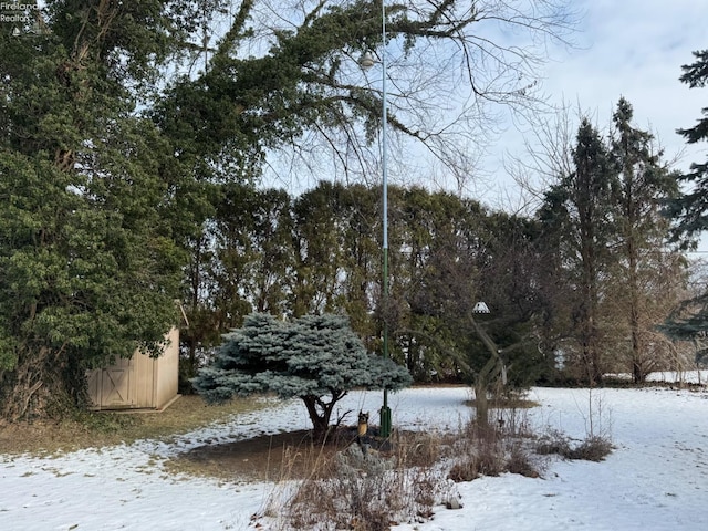 view of snowy yard