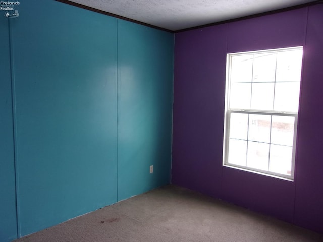 carpeted empty room with a textured ceiling