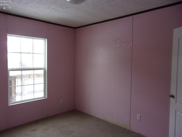 empty room featuring light colored carpet, a healthy amount of sunlight, and a textured ceiling