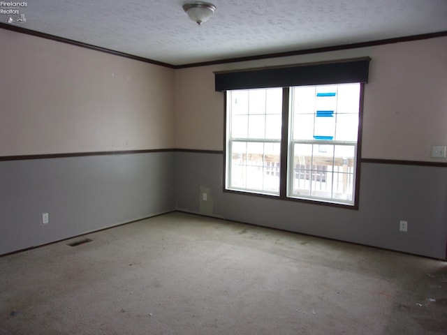 unfurnished room with light colored carpet and a textured ceiling