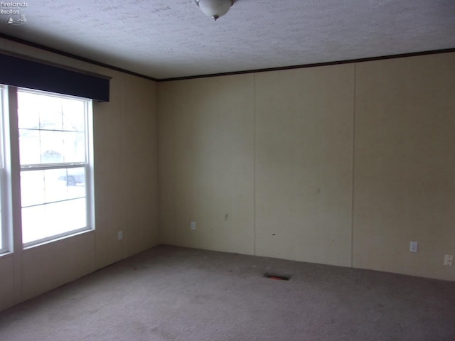 empty room featuring crown molding, light colored carpet, and a textured ceiling